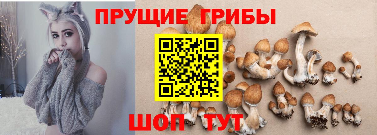 Коркино  Псилоцибиновые грибы ЛСД  Вход с VPN 